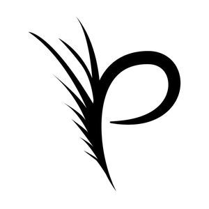 Meet your Posher, Pam